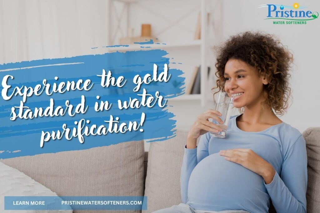 A pregnant lady drinking purified water