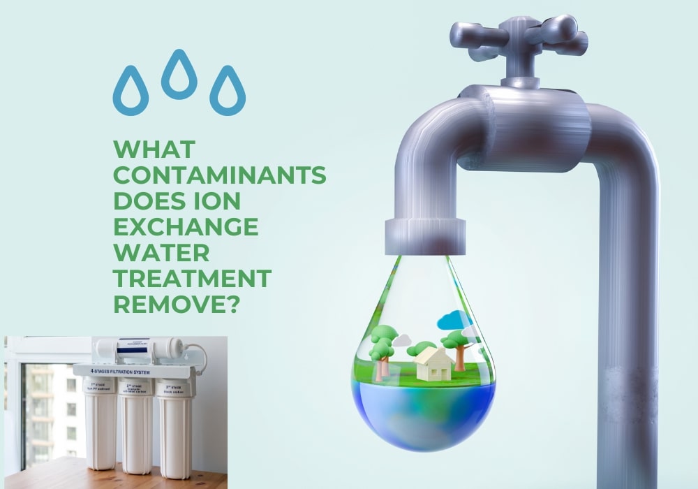 Ion exchange water treatment and contaminants