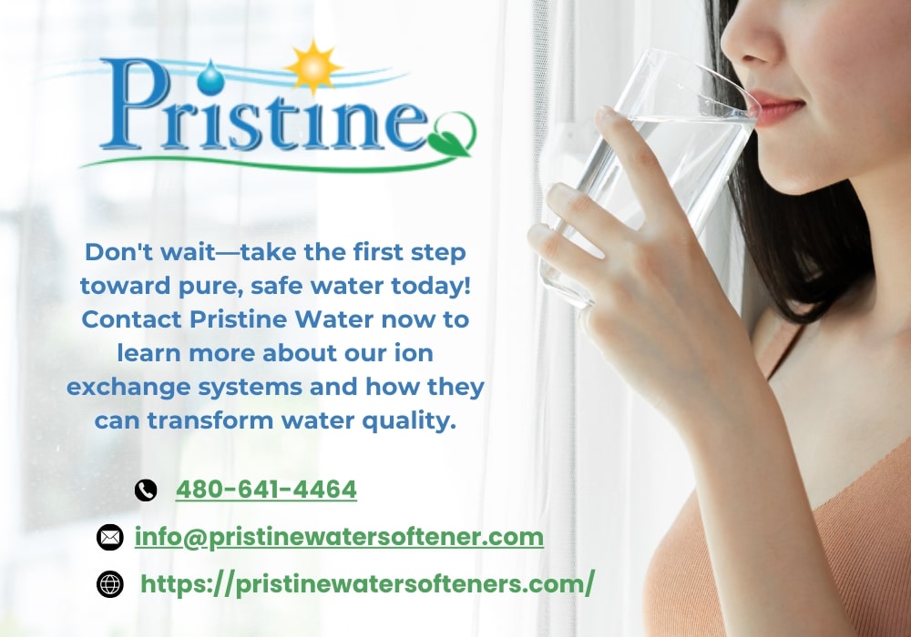 Ion exchange water treatment for pure water by Pristine