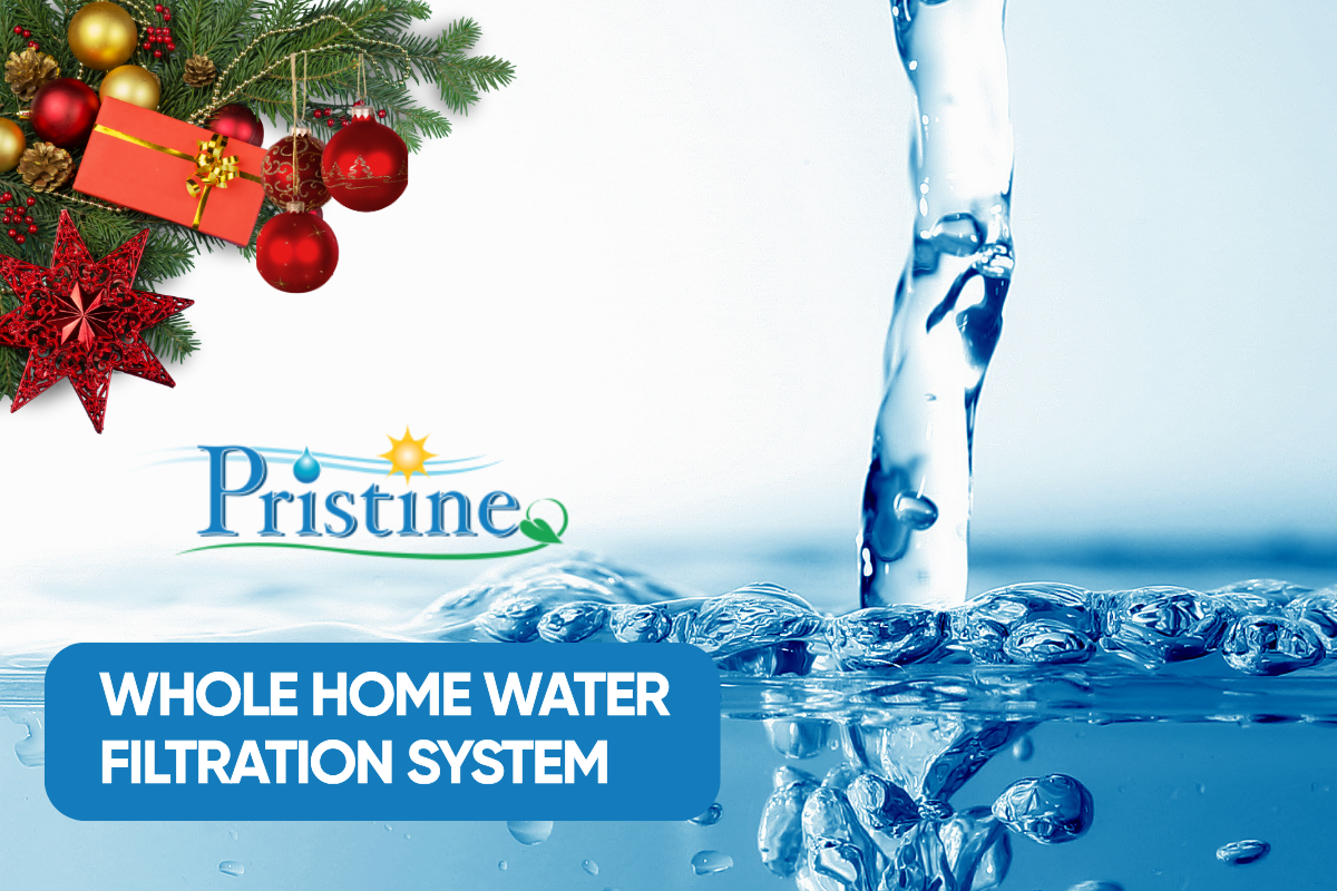 Whole Home Water Filtration System: Christmas Gift for Your Family